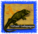 Terraquest Virtual Galapagos logo